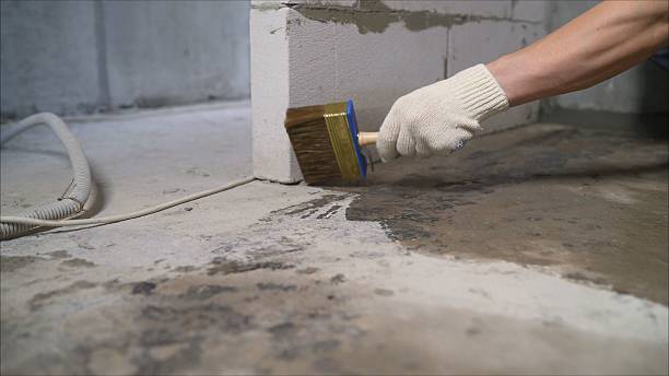 24/7 Emergency Wet Basement Repair experts in Atwood, IL